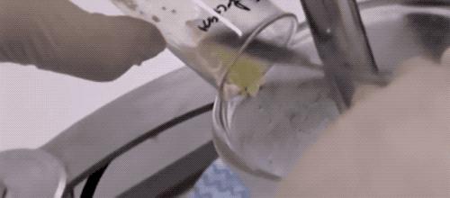 为什么防晒霜用完感觉特别干,怎么判断防晒霜水油分离