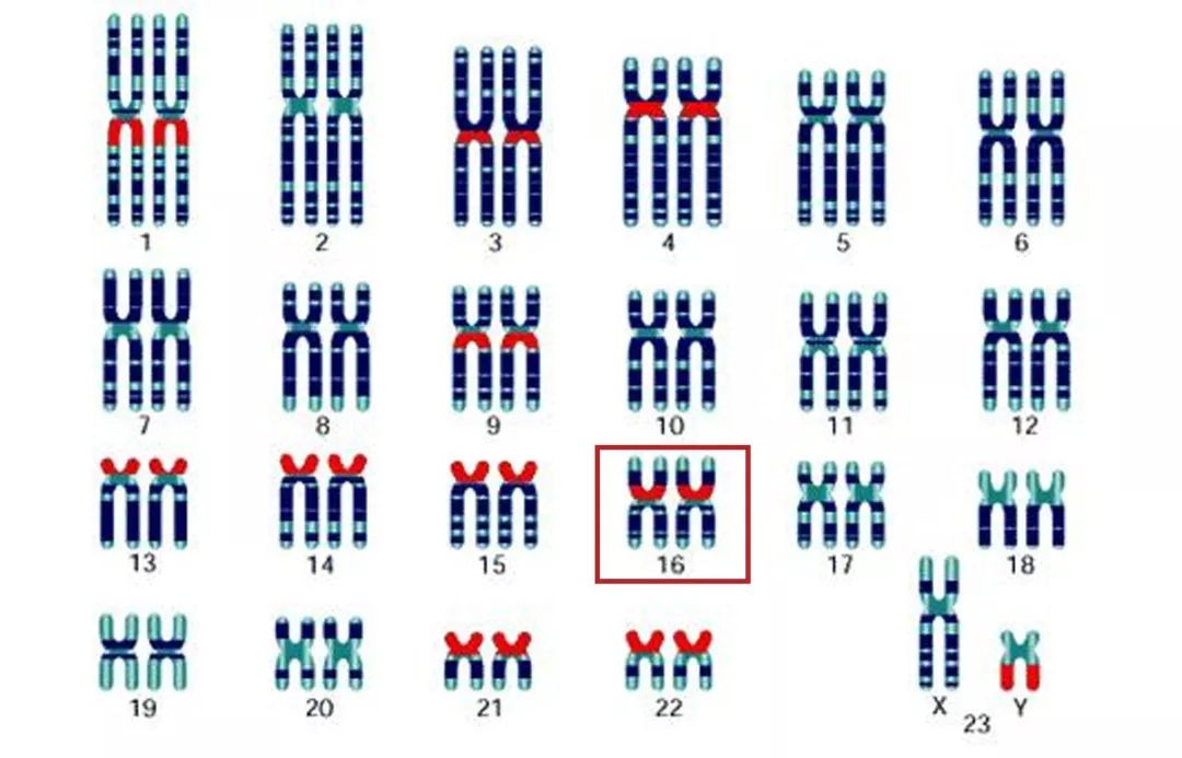 朋友有狐臭穿我的衣服会不会传染,女朋友有狐臭会传染吗