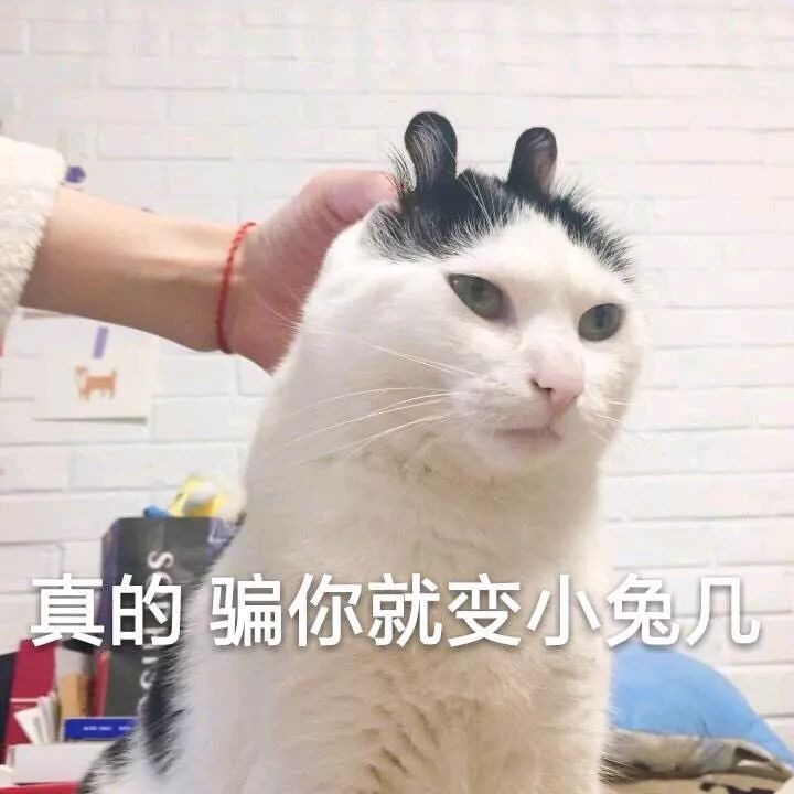 朋友有狐臭穿我的衣服会不会传染,女朋友有狐臭会传染吗