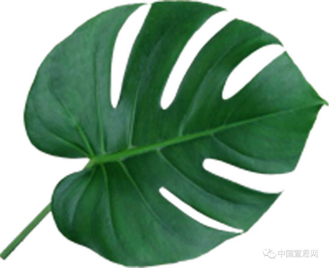 恩施直飞澳门,恩施直飞港澳