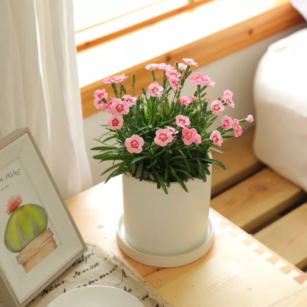 搴蜂箖棣╨ove,搴蜂箖棣╨ove缁勫悎