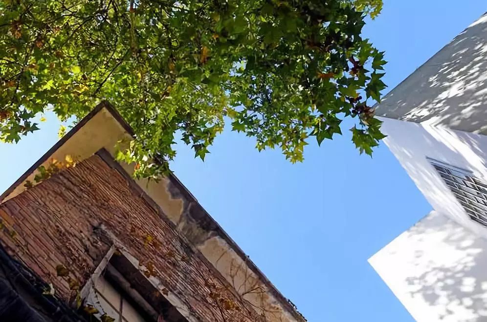 郑州惠济区私立学校招聘教师,郑州教师招聘人才引进