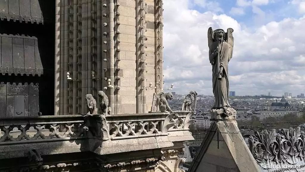 已筹7亿欧！欧洲奢侈品集团全力重修巴黎圣母院，老婆称想买包，为慈善…