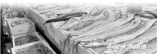 禁渔期倒计时建议囤货,禁渔期淡水鱼销售