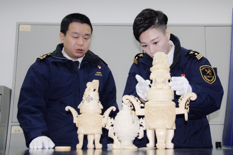 海关查获的犀牛角象牙最后的去处,海关破获走私象牙犀牛角大案