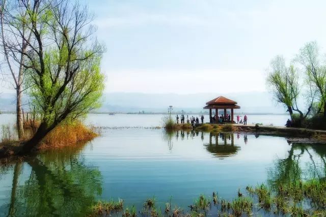 四川有座紫色小城，5月比美澳洲，比大理更多情