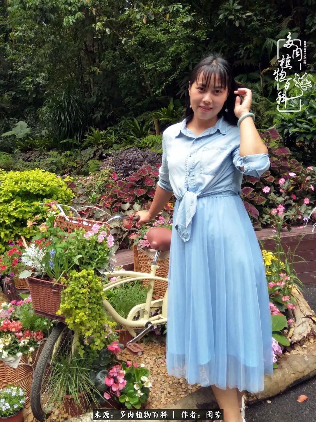 多肉开花最好看最好养前十名,多肉哪个品种开花最好看