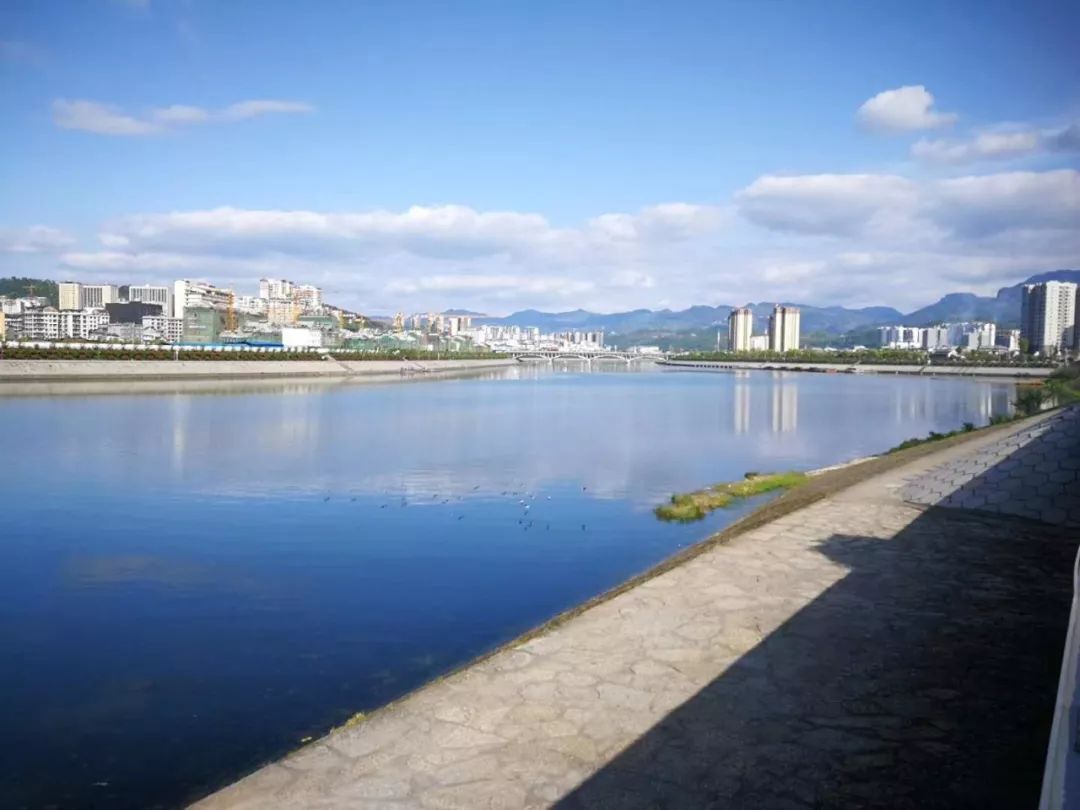 今日话题：中国移动将对涉嫌营销扰民的号码进行依法处置〡早安，张家界（350期）