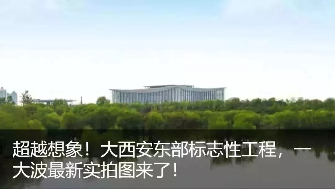 新宠驾到视频大全,新宠驾到完整视频