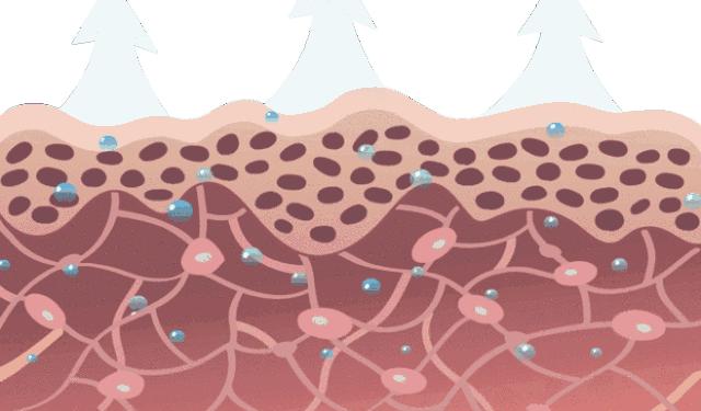 你的头发一天一次还长吗,你的头发那么长不会掉下来吗