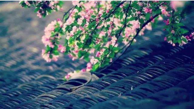 【方志四川•节气】刘艳平‖谷雨：雨生百谷，春从此别夏将至