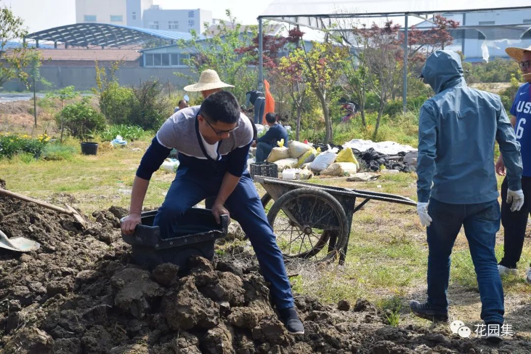 庭院自动喷灌效果图,地埋式喷灌庭院