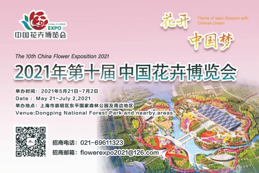 崇明十佳少年,崇明区优秀少先队员