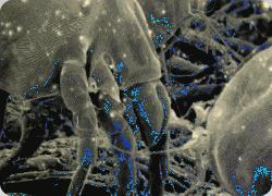 睡眠乳胶枕推荐,简单睡眠乳胶枕