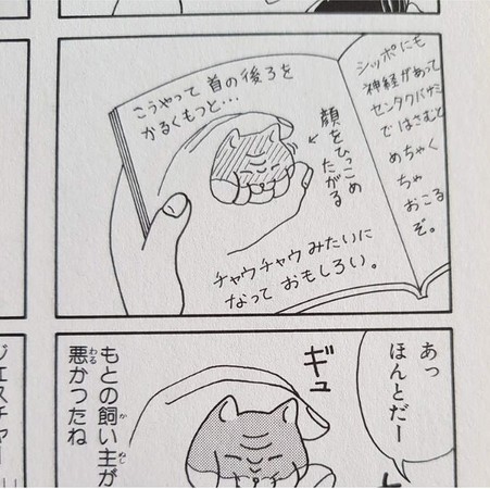 只是陪仓鼠玩而已　网惊讶：凹下去了啊啊