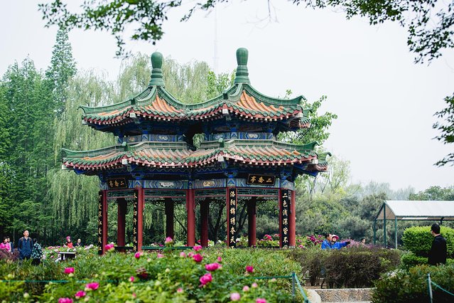 璞鍙ら兘涔嬬編,璞娌冲崡鍙戠幇涓嶄竴鏍风殑涓師涔嬬編