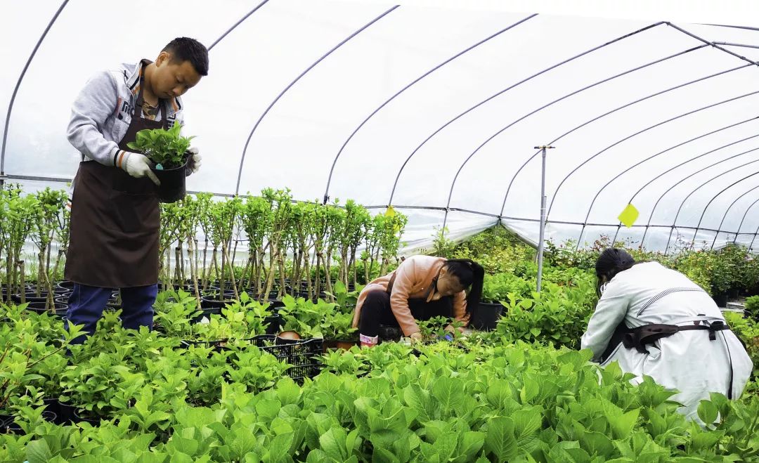 视觉张家港丨一周精选（66）