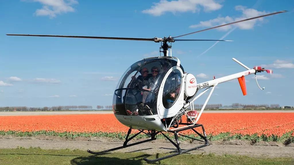 乘坐直升飞机观赏郁金香，可以进入花田自拍采摘，花不了多少钱