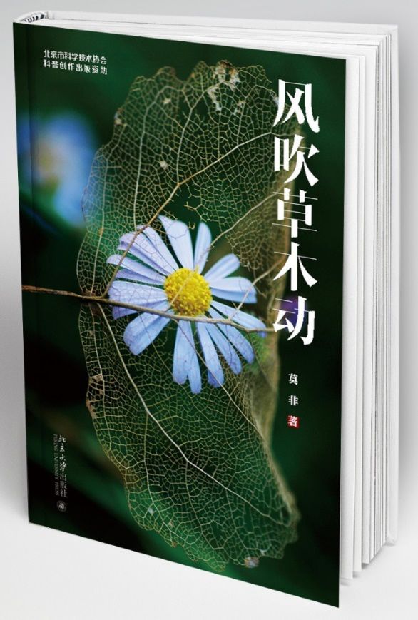 世界读书日不可错过的好书推荐,2017世界读书日书籍