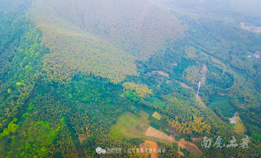 茶话会的形式是什么,中国茶道和日本茶道有什么联系