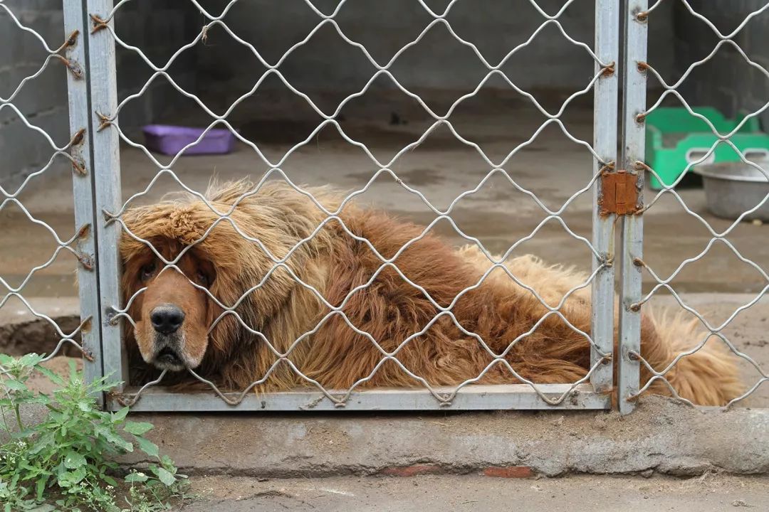 志愿沂蒙莒南,志愿沂蒙心连心