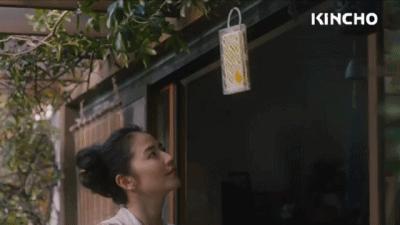 有了岛国的隐形蚊帐,再也不用半夜醒来给蚊子鼓掌了