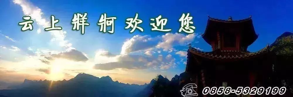 跌倒在“赛场”上的“六马之父”