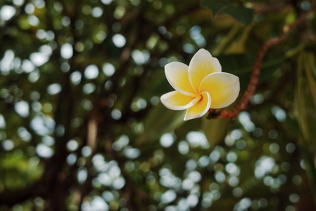 去那方简朴的国度干一瓶Beerlao‖老挝慢生活