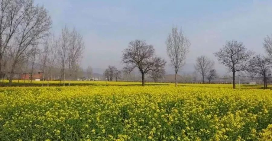 人说好山好水好风光,人说河南好风光