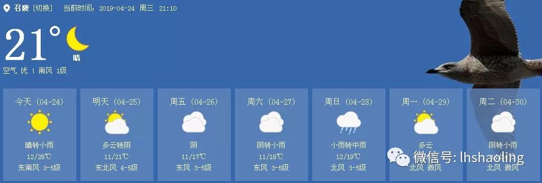 召陵区新闻最新头条,精彩召陵