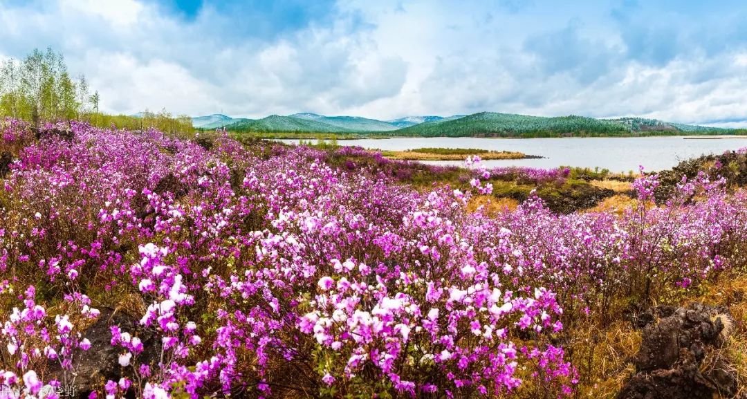 阿尔山五一适合旅游吗,五一阿尔山的风景怎样