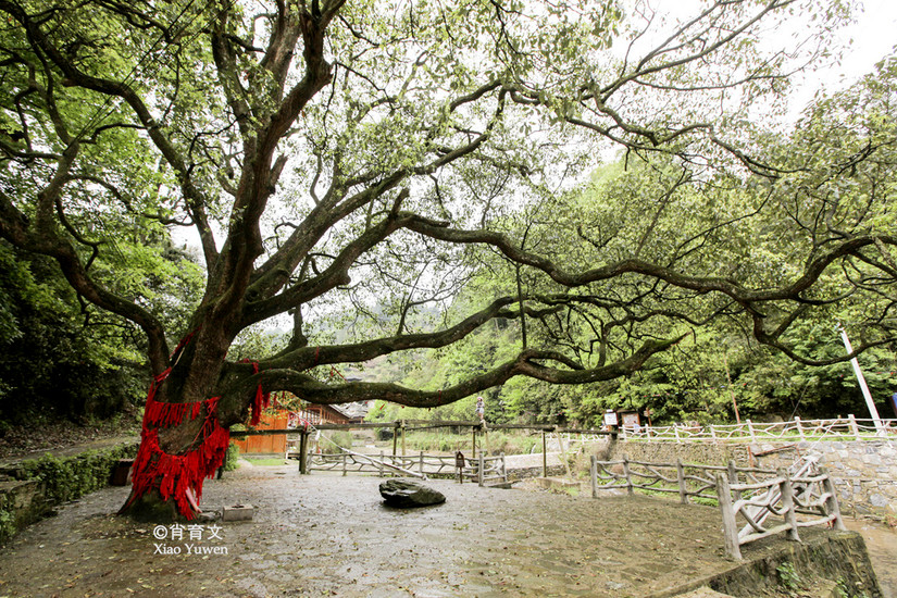 台江县红阳苗寨介绍,台江红阳苗寨旅游攻略