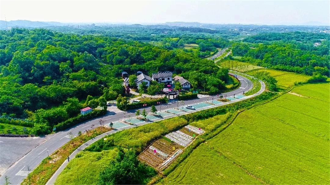 姹傚鐢熸棩娲惧甯冪疆,姹傚鍛婄櫧鐢熸棩娲惧甯冪疆