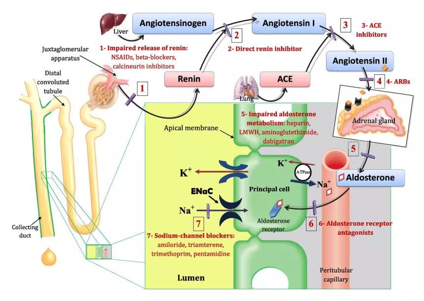 吃缬沙坦多长时间能引起血钾升高,注意了这8类药物会导致高血压
