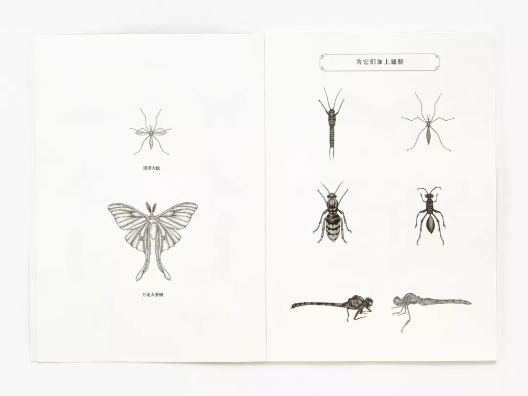 堪称一绝的野生动物画,世界动物画谱