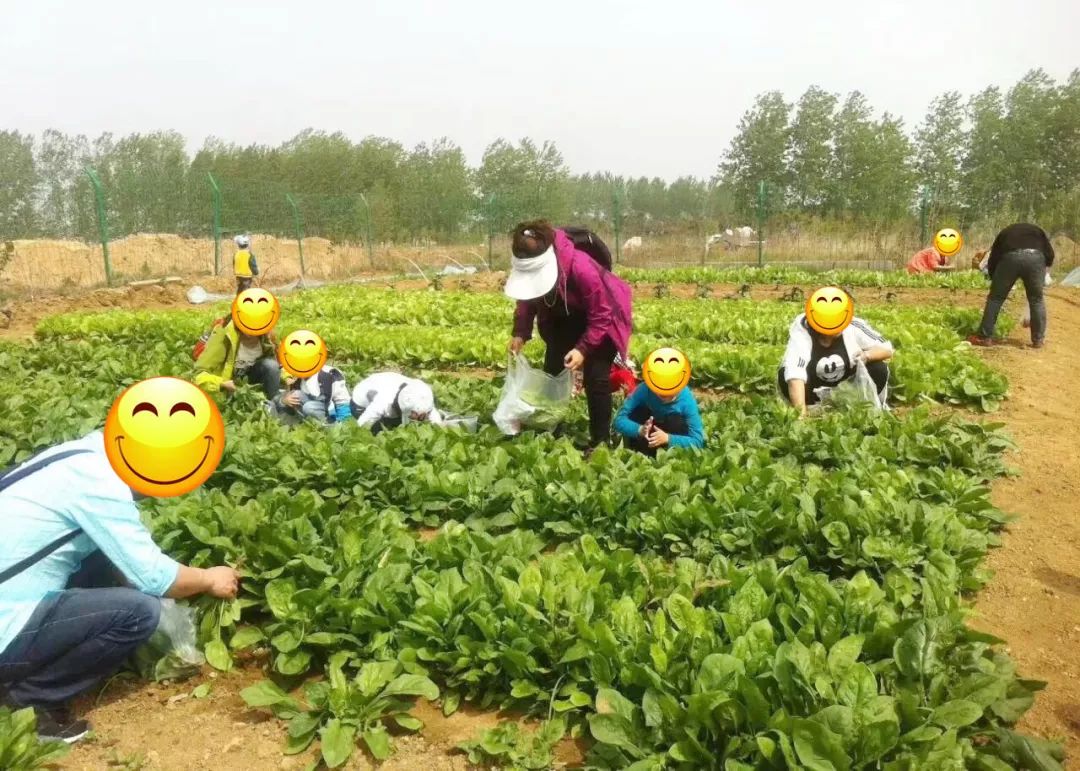 娴峰彛瑗挎捣宀告俯娉夊摢閲屽ソ,闈掑矝瑗挎捣宀告俯娉夊摢閲屽ソ