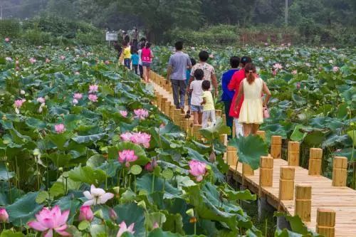 通辽文化旅游季来啦,通辽市哪里适合踏青