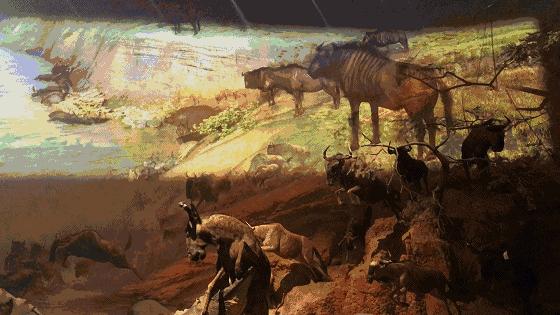 汉口里有什么活动吗,汉口白天儿童旅游攻略