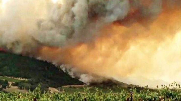 windowsxp如何打开三维弹球,windowsxp的弹珠在哪儿