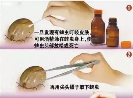 男童眼皮突然有了痣,小孩眼皮上突然出针尖大的红点