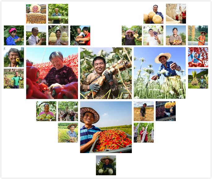 秋分中国农民丰收节对孩子的寄语,农历秋分日为中国农民丰收节