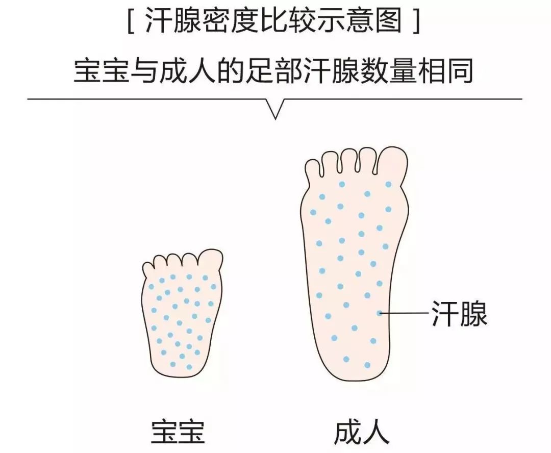 不烧脚又好看的运动风凉鞋推荐,小蓝羊凉鞋男测评