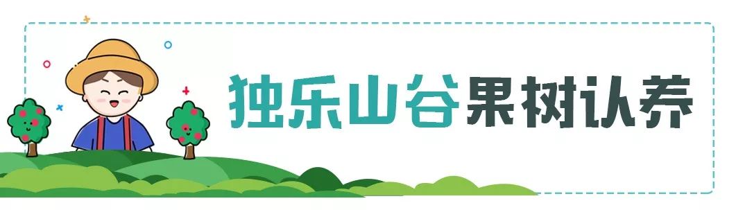 欢乐嘉年华团购19.9元万达,51欢乐马戏嘉年华