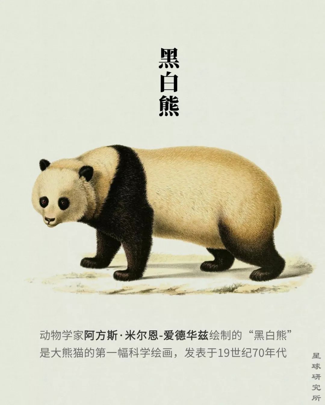 你才可爱你全家都可爱出处,你才可爱你全家都可爱怎么回