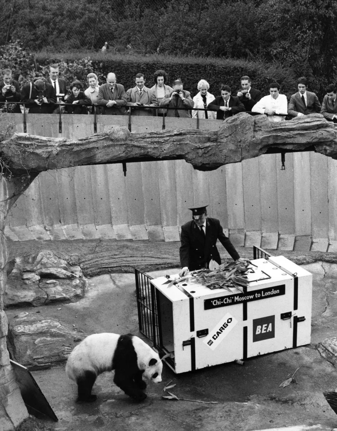 你才可爱你全家都可爱出处,你才可爱你全家都可爱怎么回