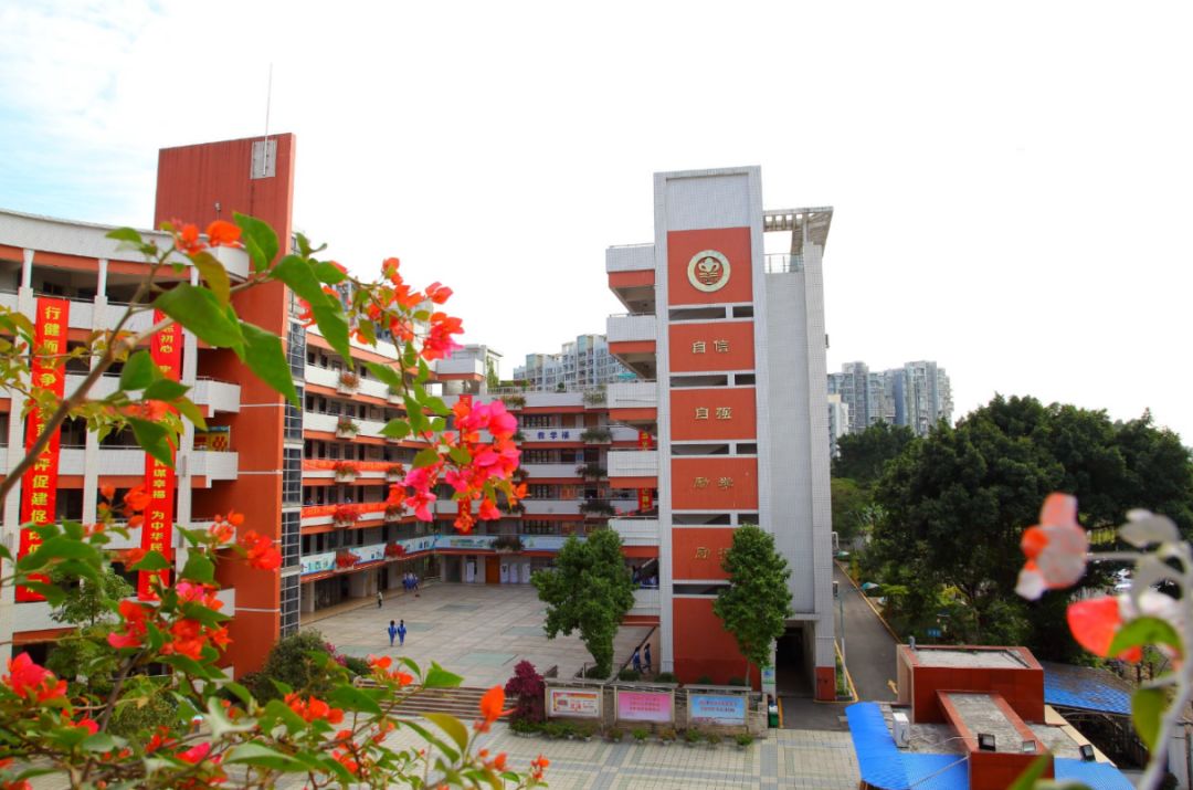 广州市奥林匹克中学实地考察,广州奥林匹克中学就是东圃中学吗