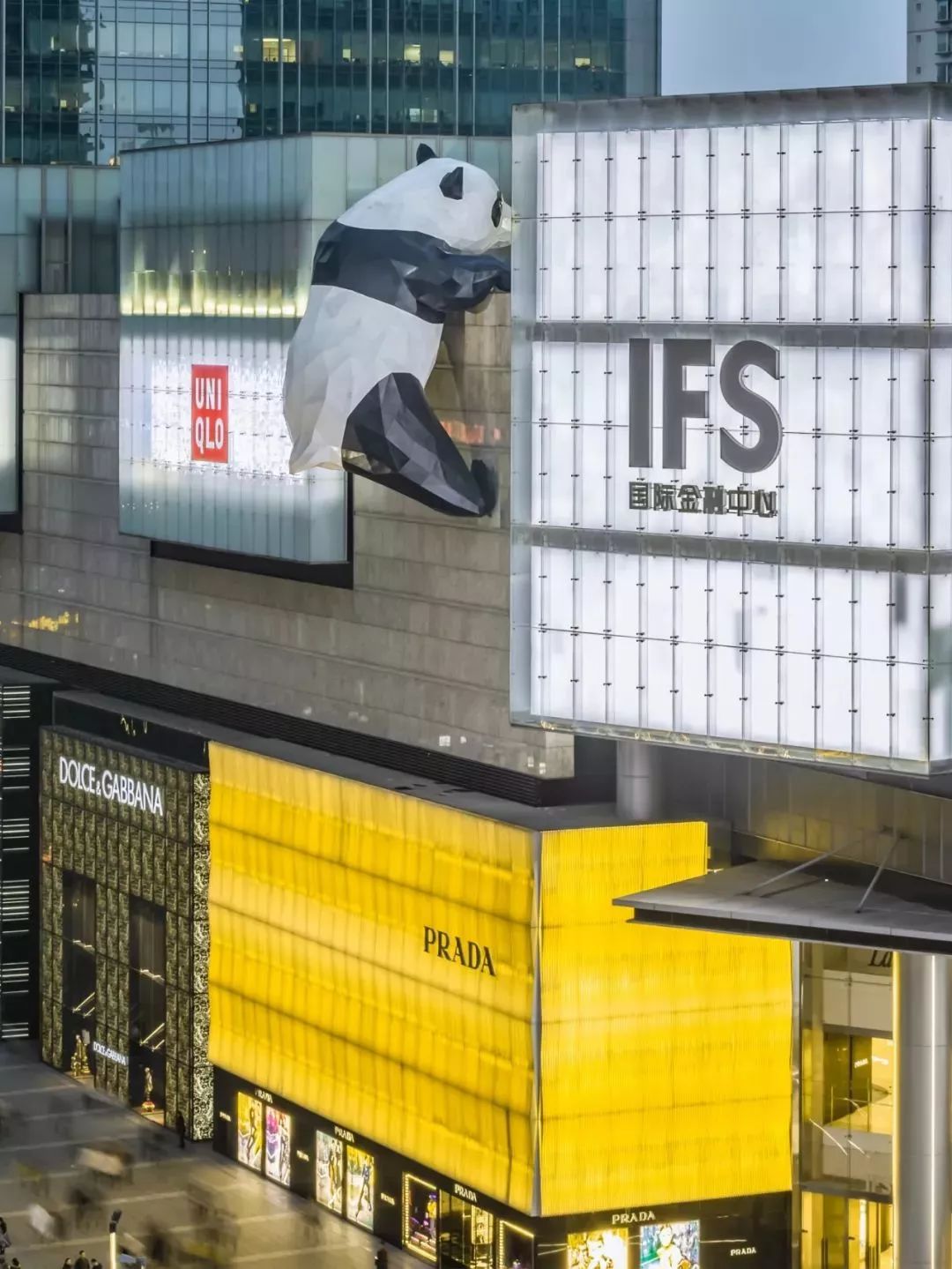 【荐读】熊猫：萌啥子哟，我是要雄起！