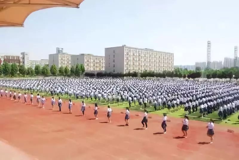 洛阳：立德树人，均衡提质，促进公平│新时代@出彩河南教育