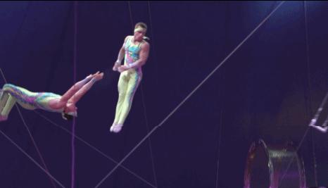 去处｜你真的知道怎么玩转上海野生动物园吗？最全指南在这里！