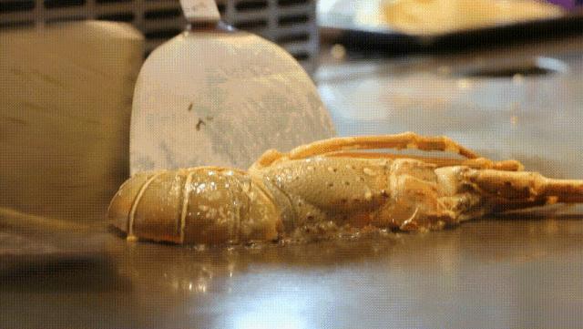 海鲜随便吃…还奖100块？遇上哈尔滨这家新店开业，减肥*党**哭了